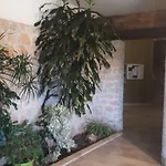 Διαμέρισμα Gallinara Αλμπένγκα